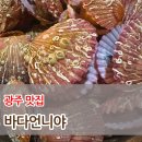 바다사랑(광주점) | [광주맛집] 바다언니야 굴찜+가리비 무한리필 맛집 후기