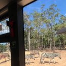 (주)뉴월드렌트카 이미지