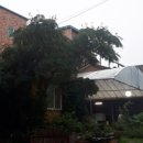 봉곡동230 이미지