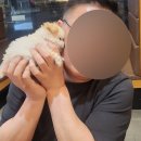 도그마루 노원점 이미지