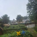 오이코스테이 이미지