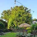 스테이552 이미지