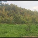 용흥리축사 네이버블로그