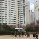 명촌초등학교 네이버블로그