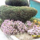 어유중학교 이미지