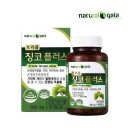 (주)가이아 이미지