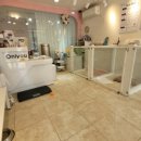 온리유 펫살롱 이미지