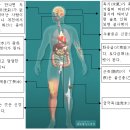 오행의 사절지와 휴수지에 처하면 발생하는 기저질환-⑤ 이미지