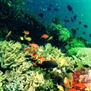 해양자연사박물관 이미지