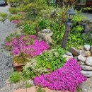 송담가든 이미지