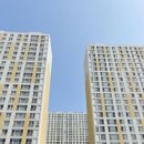 신문덕코아루아파트 옆길 | 포항 오천읍 신문덕코아루 미세촘촘망 교체