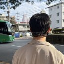 타라고 | [오키나와] 오키투어(지노투어) 오키나와 남부버스투어 내돈내산 후기 / 오키나와 2월 날씨