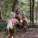 소새울어린이집 이미지