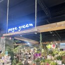 롯데마트 광교점 | 광교 화분 가게 페이지그린 롯데마트 광교점 선물용 화분 구입 후기