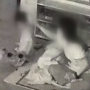 진주어린이집 이미지