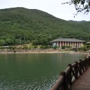 완도수목원산림박물관 티스토리
