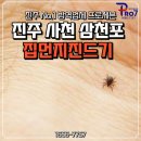 세븐동물병원 | 진주진드기방역전문 ✔️ 믿을 수 있는 프로세븐에 문의하세요!