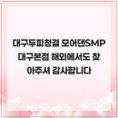 모어댄SMP 이미지