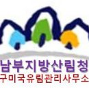 금오산 유아숲체험원 이미지