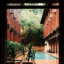 라이온 호텔 이미지