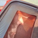 깜돌게코샵 | 마산파충류 마산도마뱀 깜돌게코샵 입양