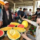 대산면공설운동장 이미지