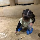 공룡목장 | 기흥 다이노베이 두돌 아이랑 가성비 공룡 실내 키즈카페 체험 후기