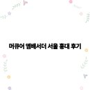 머큐어 앰배서더 홍대 | 머큐어 앰배서더 서울 홍대 후기 트렌디한 여행객 필수 숙소 추천 2025년
