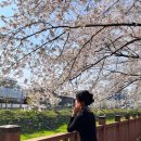 야촌 | 파주전통차 몸에 좋은 전통차 마시러 파주까지, 전통찻집 야촌