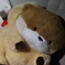 지구오락실 동탄역점 이미지