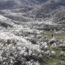 거창목장 이미지