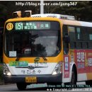 주정차단속-51 이미지