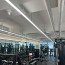 정관장GYM