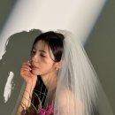 더마쉬(the marsh)