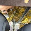 비블로스 | 평창 계곡 펜션 비블로스펜션 후기 -취사가능 흥정계곡