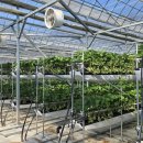 외기농장 이미지