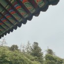 [템플스테이] 거북이도 쉬어가는 곳, 가야산 심원사 6박 7일 템플 스테이 후기