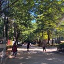 궁골어린이공원 이미지