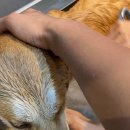 남은농장 이미지