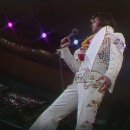 Elvis Presley / Welcome To My World 이미지