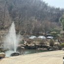 용인나무이야기 이미지