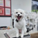 와와살롱 이미지