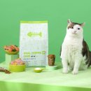 본아페티 이미지