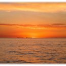 참수제비 이미지