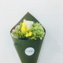 후리지아 Daum카페