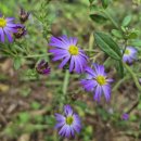 청하 농장 이미지