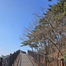 반여3동-6 Daum카페