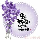 세상 사는 이야기 이미지