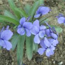 치악산농장 이미지