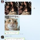 굿보러 가자 공연 | 260211 MIRRORBALL P!CK X 제비다방_Vol:30 '투 데이 올드 스니커즈'